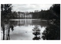Tanzenhaid Weiher.jpg