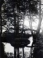 Wustrau Landschaft.jpg