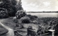 Wustrau Ruppiner See 2.jpg